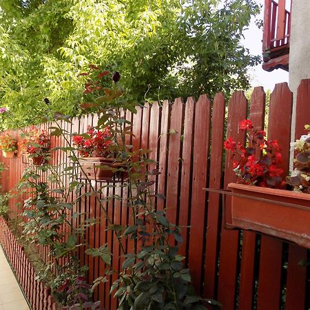 Pension Eden Беїле-Херкулане Екстер'єр фото