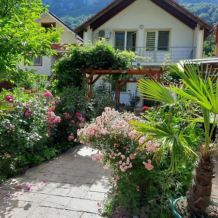 Pension Eden Беїле-Херкулане Екстер'єр фото