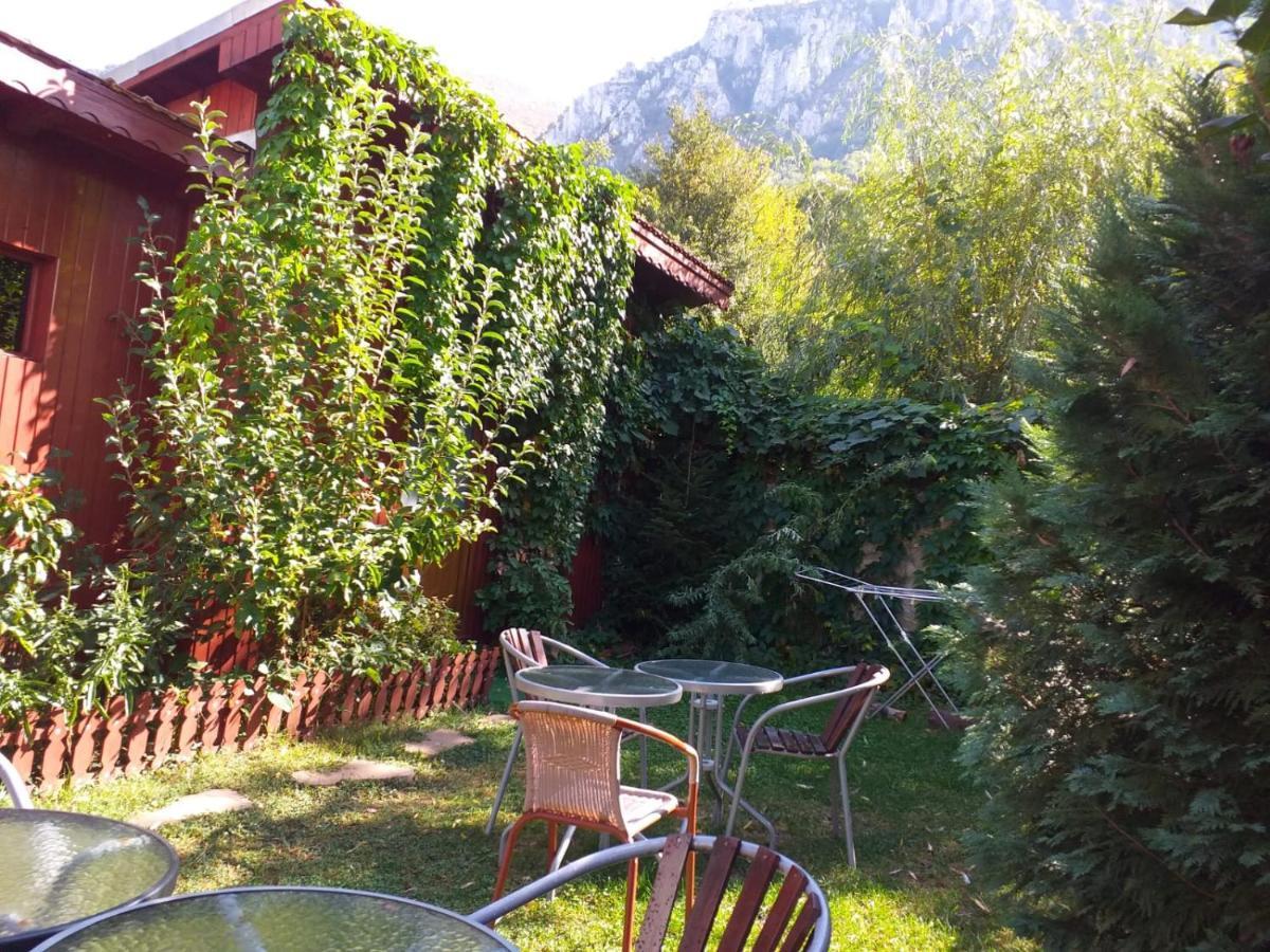 Pension Eden Беїле-Херкулане Екстер'єр фото