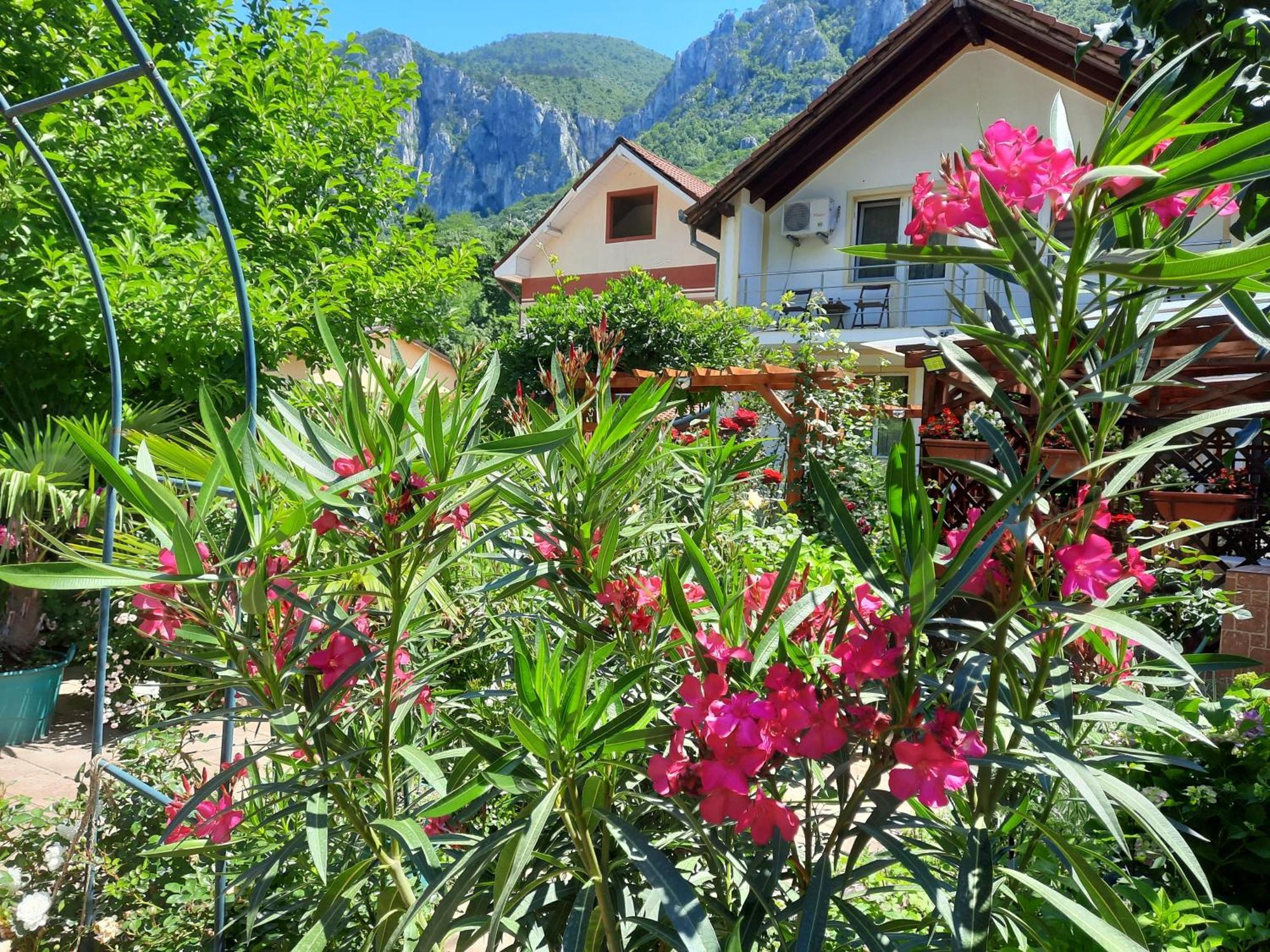 Pension Eden Беїле-Херкулане Екстер'єр фото